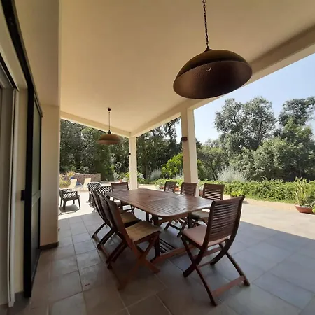 Geko - Goelba * Capoliveri (Isola d'Elba)