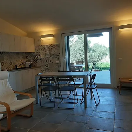 Geko - Goelba Capoliveri (Isola d'Elba)