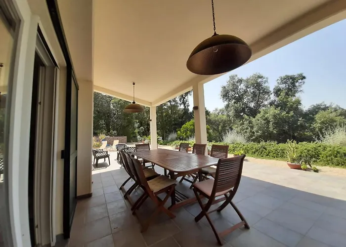 Geko - Goelba * Capoliveri (Isola d'Elba)